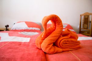IMG_7625